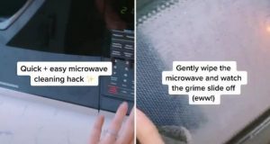 Micro-ondas limpo em segundos? Truque viraliza no TikTok