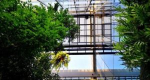 Biofilia: Arquitetura que coloca a natureza dentro da sua casa