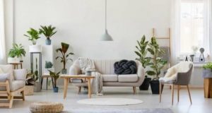 5 dicas para decorar a sala de estar